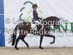 gebruikspresentatie dressuur